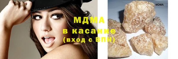 индика Гусь-Хрустальный