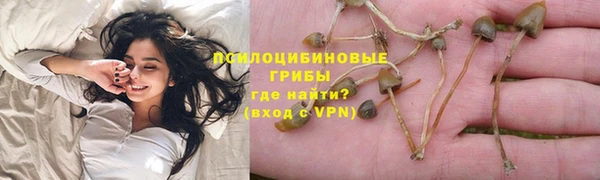 ГАЛЛЮЦИНОГЕННЫЕ ГРИБЫ Абдулино