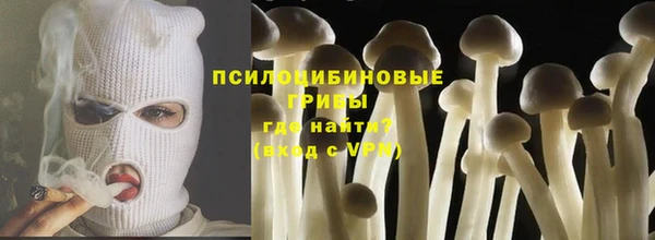 дживик Абаза