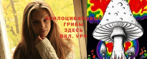 кокаин премиум Алексеевка