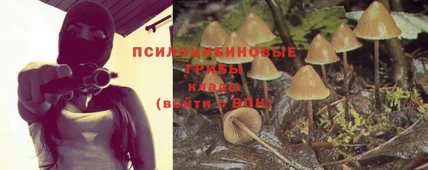 ГАЛЛЮЦИНОГЕННЫЕ ГРИБЫ Абдулино