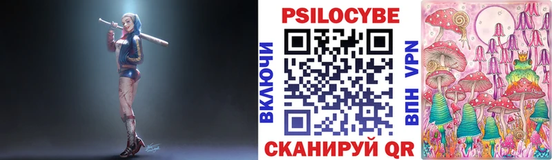 Псилоцибиновые грибы Psilocybine cubensis  где купить наркоту  Гусь-Хрустальный 
