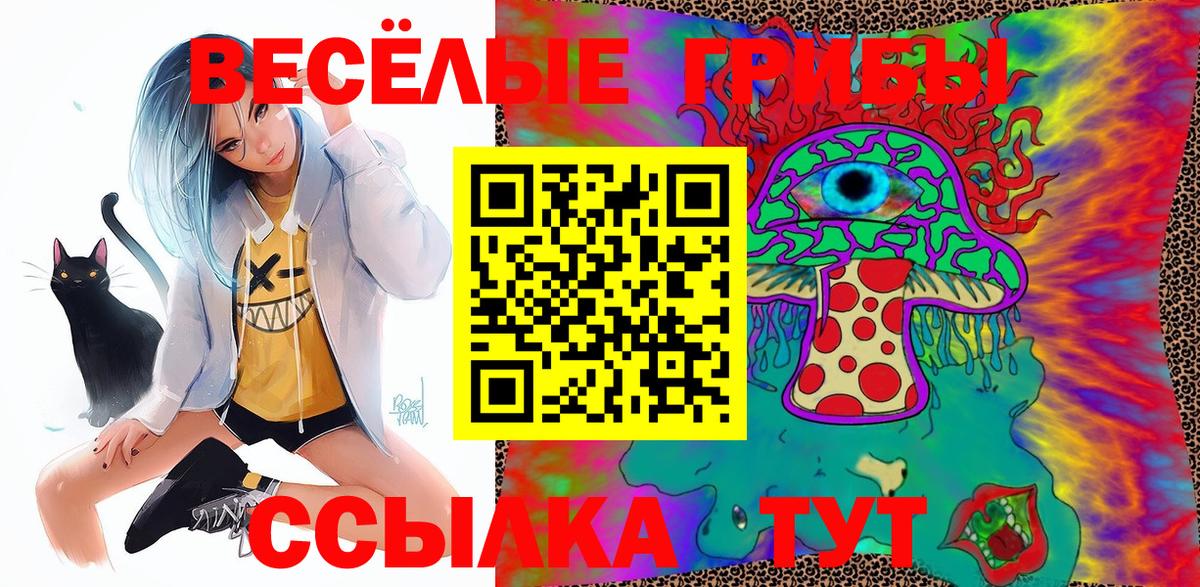 Псилоцибиновые грибы Cubensis Гусь-Хрустальный